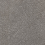 CAMOSCIO 26 GRIGIO